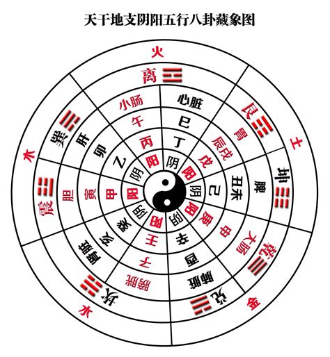 天干地支方位|[易經基礎] 天干地支詳解，天干地支配陰陽，天干地支配五行，天。